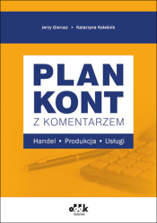 Plan kont z komentarzem – handel, produkcja, usługi