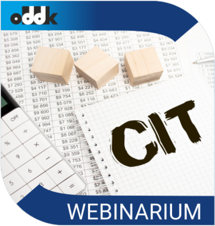 CIT w firmie – wybrane zagadnienia (W6DS0512)